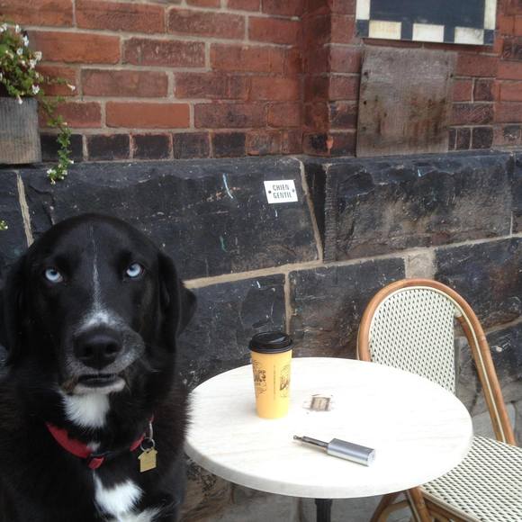 Meet your Posher, Stephan - Picture 1 of 1